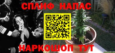 бошки Балашиха