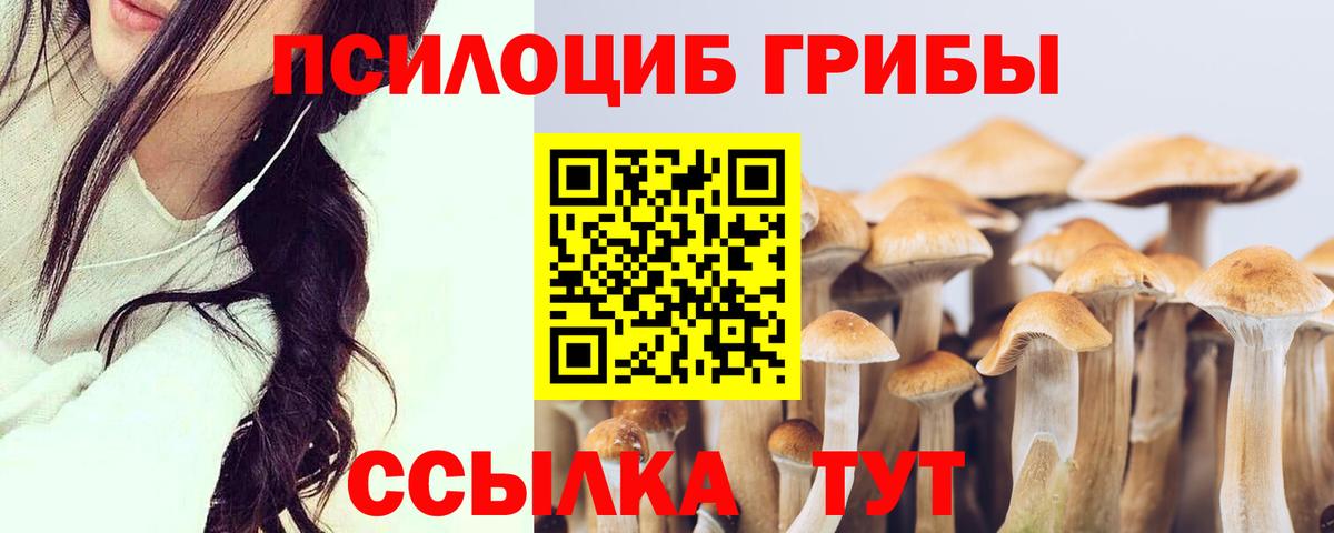 Галлюциногенные грибы мицелий  Вход с VPN  Гай 