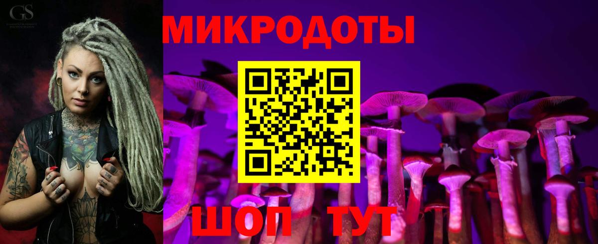 Галлюциногенные грибы прущие грибы Гай