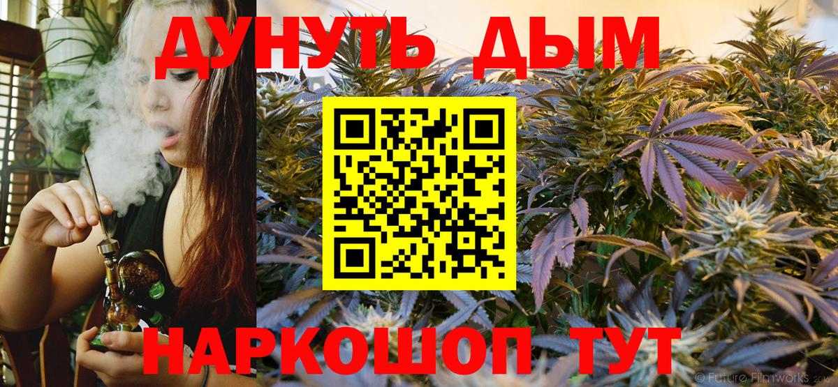 Каннабис индика  Вход с VPN  Гай  Бошки марихуана планчик  Конопля VHQ 